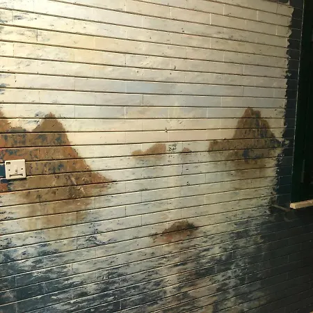 Murales -soggiorno Di Sole Mare E Natura Βίλα Cipollina